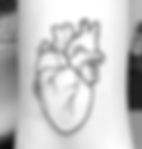 Screen Shot 2019-08-17 at 4.07.41 PM.png